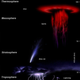 Illustration for article titled Weve Never Filmed a Blue Jet from Space, Until Today